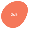 Zutat - Cholin