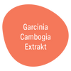 Zutat - Garcinia Cambogia Extrakt (60% HCA)