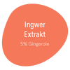 Zutat - Ingwer Extrakt (5% Gingerole)